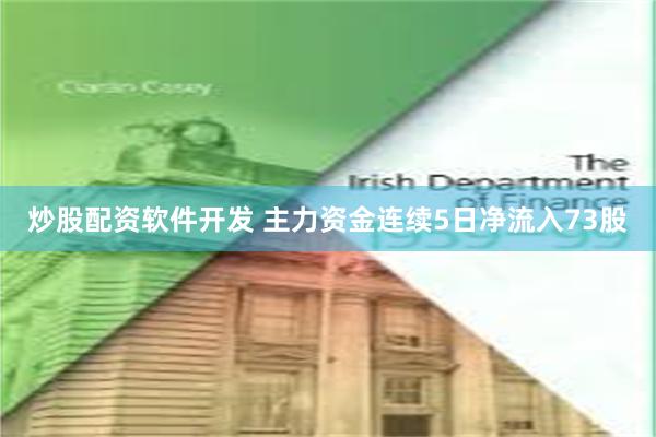 炒股配资软件开发 主力资金连续5日净流入73股