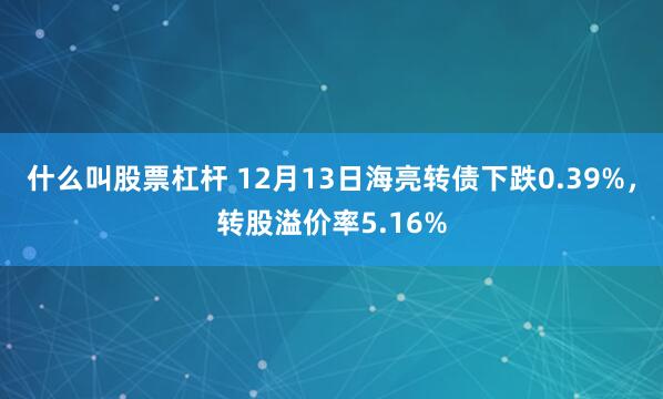 什么叫股票杠杆 12月13日海亮转债下跌0.39%，转股溢价率5.16%