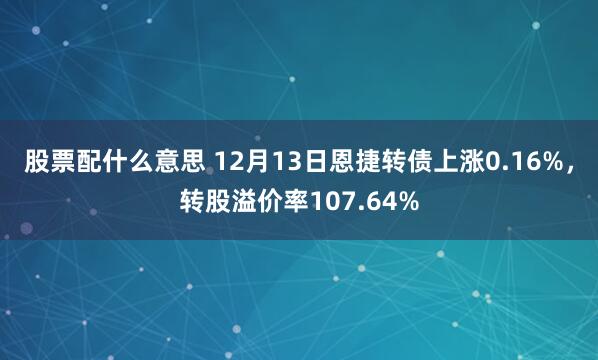 股票配什么意思 12月13日恩捷转债上涨0.16%，转股溢价率107.64%