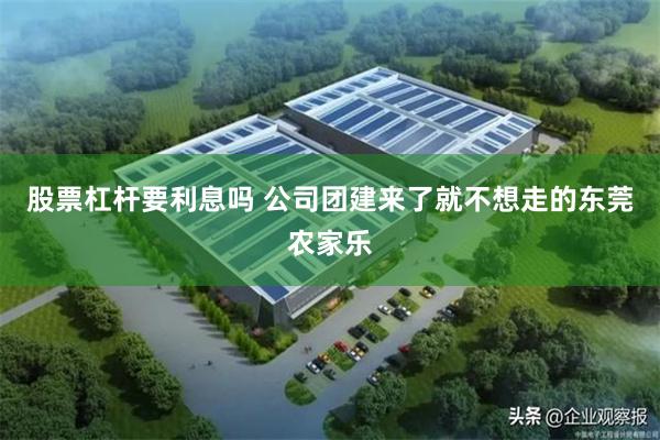 股票杠杆要利息吗 公司团建来了就不想走的东莞农家乐